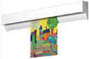 R50 Display