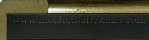 m01-0205