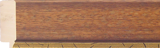 155/031/800